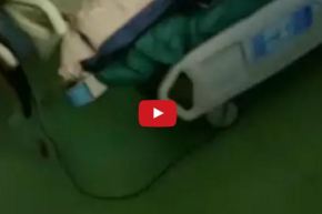 بالفيديو.. ديدان تنهش جسم أحد المرضى