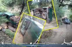 درك الميلية يوقف أفراد شبكة مسلحة اعتدوا على أعوان الغابات بجيجل