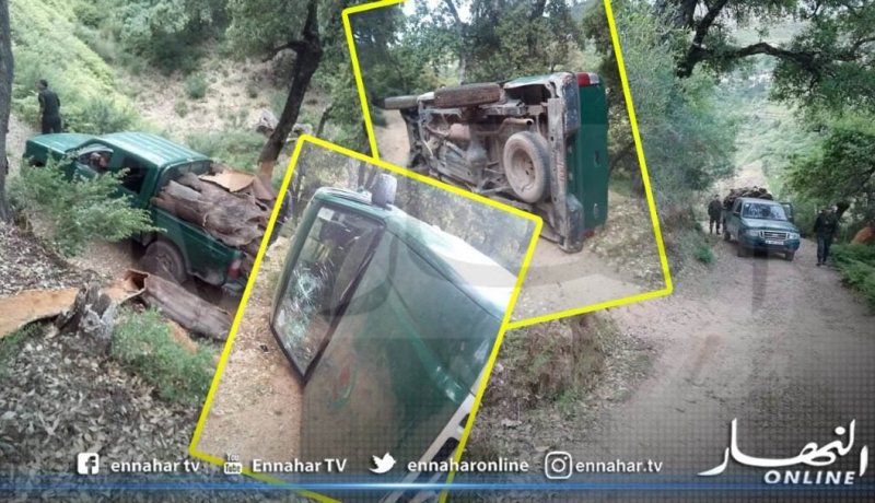 درك الميلية يوقف أفراد شبكة مسلحة اعتدوا على أعوان الغابات بجيجل