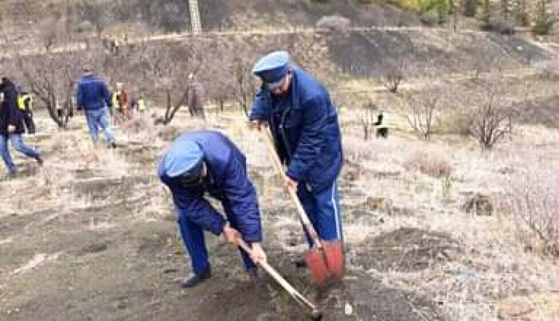 الشلف: دائرة إقليم الغابات بأولاد بن عبد القادر تستفيد من 4700 شجرة