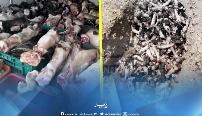 إحباط محاولة إدخال قنطارين من أرجل البقر الفاسدة بالوادي