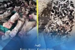 حجز 6.7 قنطار من اللحوم الحمراء الفاسدة ببسكرة