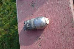 العثور على مقذوف متفجر أمام المستشفي العسكري في قسنطينة