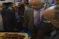 ڤرين يفضّل العمل على البروتوكولات