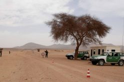 توقيف 17 مهربا من جنسيات افريقية مختلفة في الجنوب