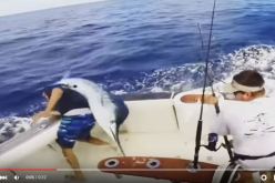 بالفيديو صياد ينجو بأعجوبة من مواجهة مميتة من طرف سمكة أبو السيف