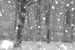 أمطار وثلوج في الجزائر ابتداء من ليلة الجمعة