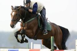 كأس التحدي العالمي في القفز على الحواجز يومي 6 و 7 نوفمبر بالجزائر