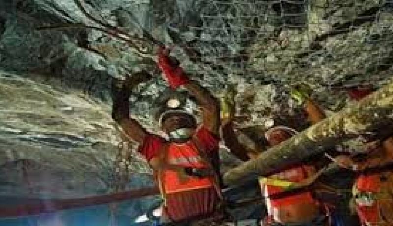 العثور على جثث ثمانية عمال في منجم ذهب في جنوب إفريقيا
