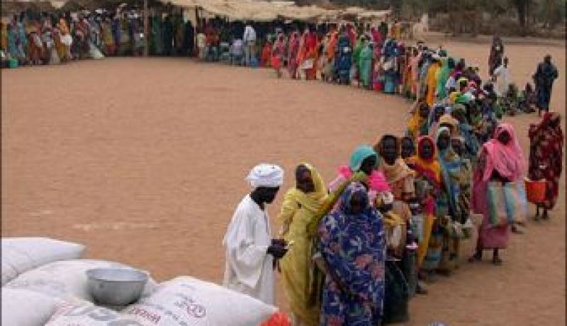 غينيا تعرب عن شكرها للجزائر على مساعدتها الإنسانية