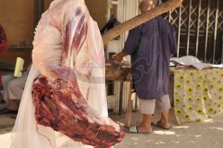 لحوم جيفة على موائد الجزائريـين فـي رمضان