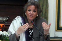 وزيرة مصرية: أميركا عملت على «احتواء» الثورة و«توجيهها» لمصلحتها ومصلحة إسرائيل