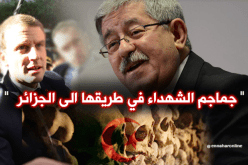 أويحيي: جماجم الشهداء في طريقها إلى الجزائر