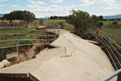 مقتل 65 شخصا في هزة ارضية ضربت ثاني اكبر مدينة في نيوزيلاندا