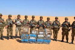 إحباط محاولة تهريب 1700 لتر من الوقود و حجز كمية من المخدرات بالجنوب