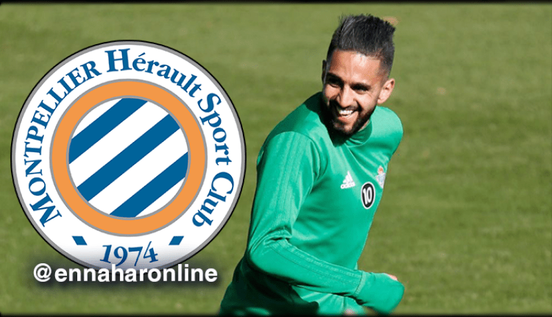 بالفيديو.. مونبولي يحتفل بضربة جزاء بودبوز!