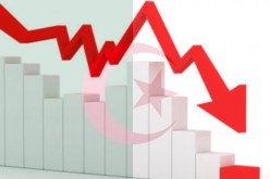 انخفاض فاتورة صادرات منتجات الصناعة الغذائية للاتحاد الاوروبي نحو الجزائر