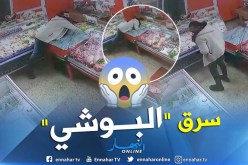 شاهد.. عملية سرقة لـ10 ملايين سنتيم من عند “بوشي” في وضح النهار بالبليدة