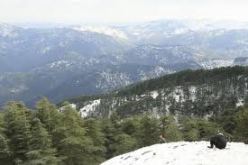 ألفين امرأة في رحلة اكتشاف شريعة مشيا على الأقدام