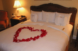 النهار تساعدك على ذلك