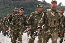 بوتفليقة يدعو المجتمع الجزائري إلى التحلي باليقظة و مساندة الجيش الوطني الشعبي