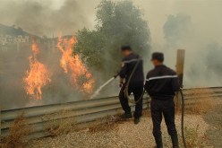 الحرائق أتلفت أكثر من 5700 شجرة مثمرة خلال جويلية وأوت في تيزي وزو
