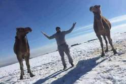 صور الثلوج في الصحراء الجزائرية تشعل الفايسبوك