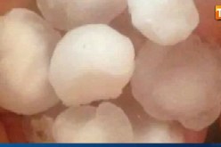 حبات برد ضخمة تسبب خسائر كبيرة لأصحاب السيارات بالجزائر العاصمة