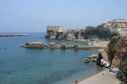 تطهير موانئ تمنفوست و رايس حميدو و الجميلة بجون العاصمة