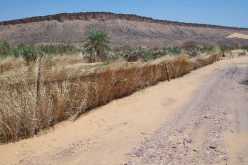 العثور على جثة عون أمن قذفتها مياه وادي تيارت