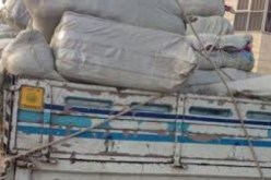 حجز ما يفوق 1.42 مليون دج من البضائع المهربة في ثلاث عمليات بتلمسان