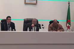 وزارة الفلاحة: نفوق أزيد من 3 آلاف رأس غنم بداء الحمى القلاعية