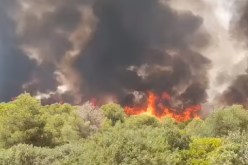 مستغانم : حريق مهـول بغابة ببلديـة الصفصاف