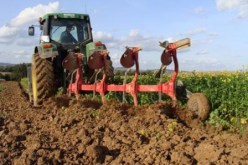 حملة الحرث والبذر لهذا الموسم مست 53537 هكتار بوهران