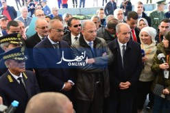 بدوي يحث رجال الأعمال على الإستثمار بشاطئ الباخرة المحطمة