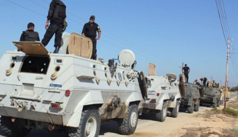 حكم بإعدام 14 من عناصر “التوحيد والجهاد” بمصر