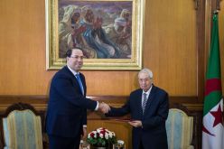 الشاهد: “التنسيق مستمر شبه يوميا بين القوات العسكرية التونسية والجزائرية”