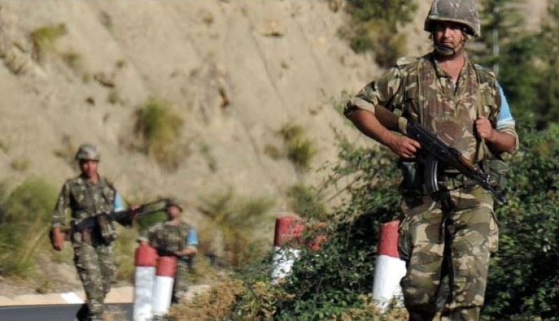 كشف وتدمير 5 ألغام تقليدية الصنع وأجهزة تفجير في الشلف وجيجل