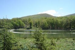 فتح 1220 منصب عمل بقطاع الغابات