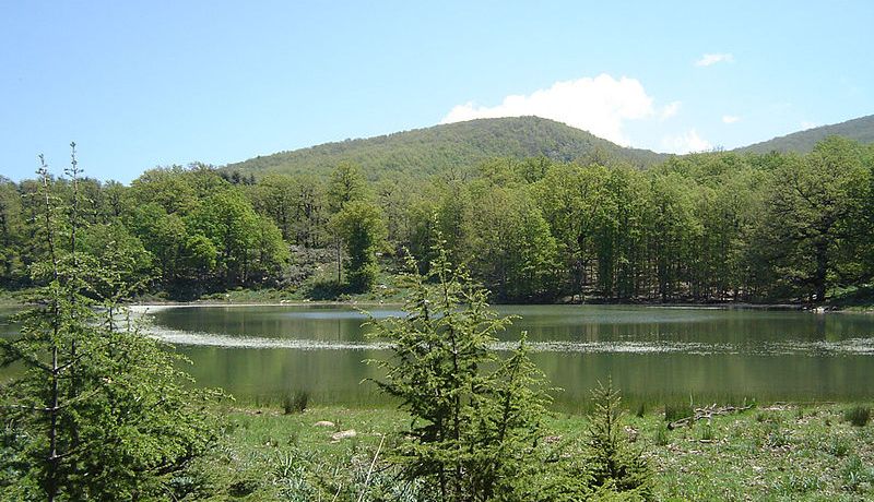 فتح 1220 منصب عمل بقطاع الغابات