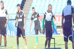 الجزائر ستحافظ على مرتبتها 19 عالميا للشهر الثالث على التوالي