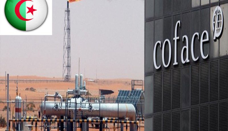 كوفاس الفرنسية..  قطاع النفط الجزائري أظهر نجاحات ايجابية