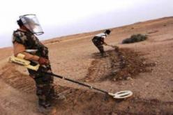 تسليم منطقة مطهرة من الألغام الإستعمارية ببلدية تيوت في النعامة