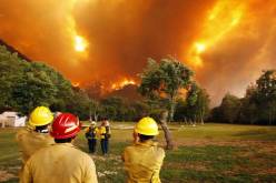 حرائق تلتهم الغابات بكاليفورنيا