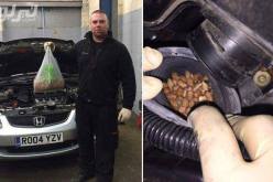 سنجاب يجعل محرك سيارة مخزنا له