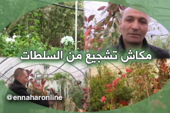 أصحاب المشاتل ينتظرون الدعم من السلطات بقالمة