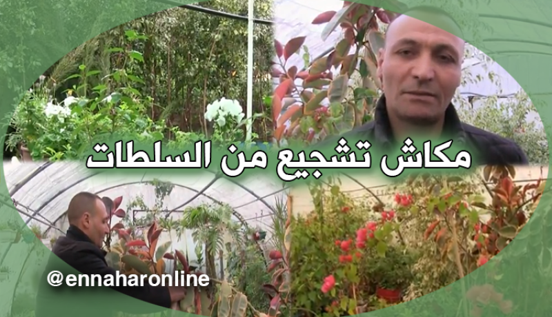 أصحاب المشاتل ينتظرون الدعم من السلطات بقالمة