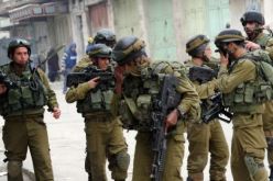 التحقيق مع جنود إسرائيليين أطلقوا كلابًا على فتى فلسطيني