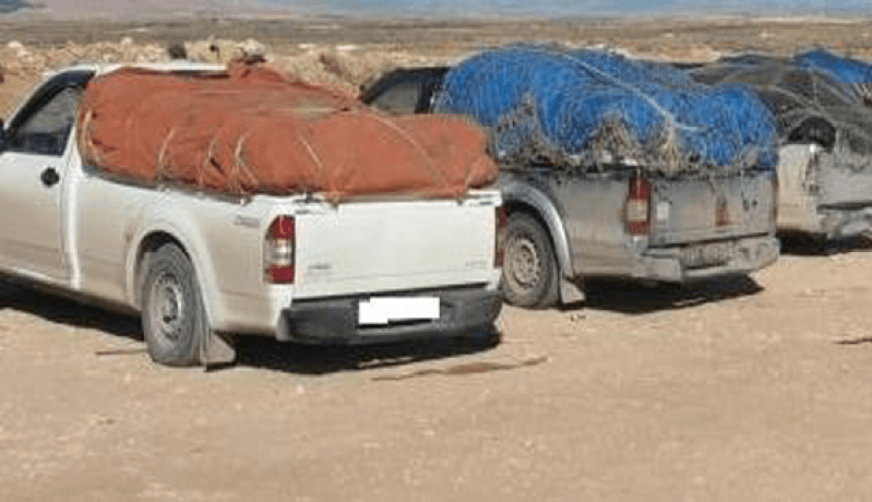حجز خمس سيارات على متنها بضائع مهربة مع توقيف سبعة أشخاص بتيارت