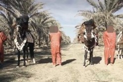 داعش يقتل 3 عراقين سحلًا بالخيول